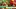Video Platzhalter Video Platzhalter