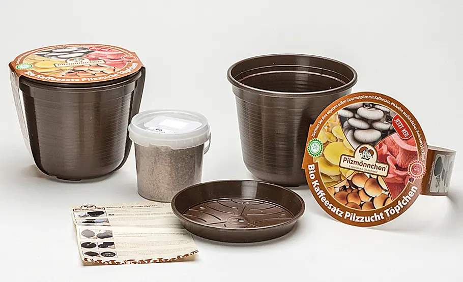Pilzzucht auf Kaffeesatz