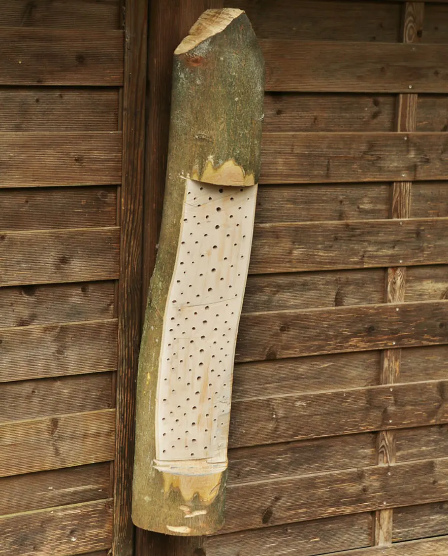Haus für wilde Bienen bauen