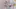 Video Platzhalter Video Platzhalter