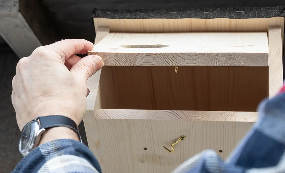 Nistkasten für Mauersegler bauen