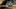 Video Platzhalter Video Platzhalter