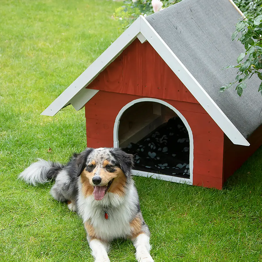 Outdoor Hundehaus mit Dach bauen