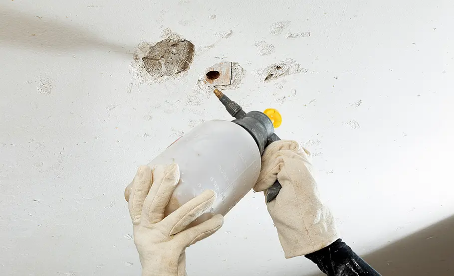 So können Sie die Kellerwand verputzen