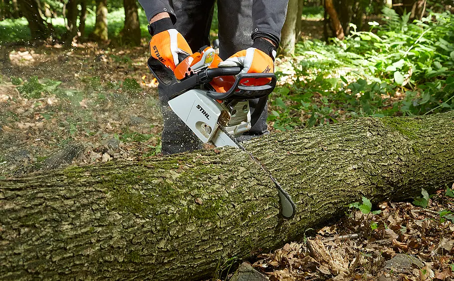 Baum fällen