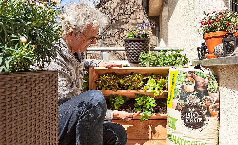 Kleines Hochbeet für den Balkon bauen