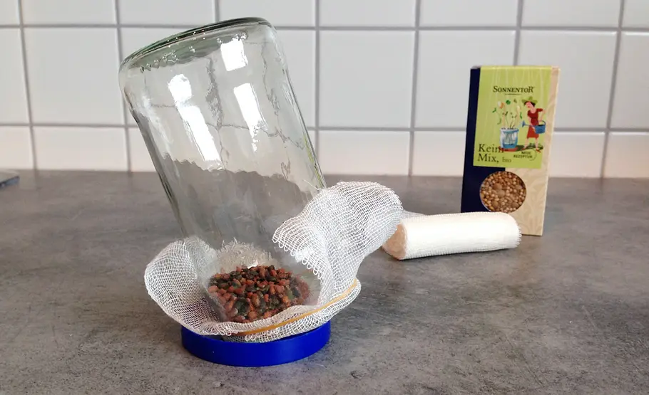 Sprossenglas selber machen