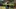 Video Platzhalter Video Platzhalter