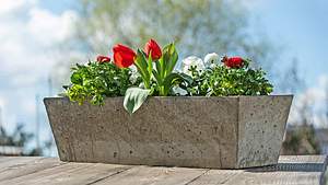 Pflanzkasten aus Beton gießen - Foto: sidm / MMM