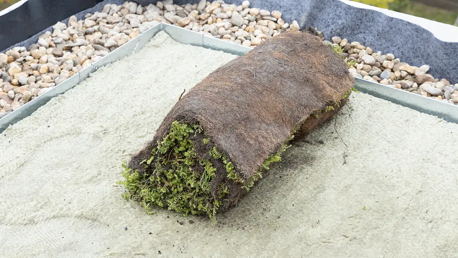 Die Vegetationsmatten (Urbanscape Sedum Mix) sind 1 x 2 m groß und rund 20 bis 40 mm dick.