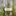 Video Platzhalter Video Platzhalter