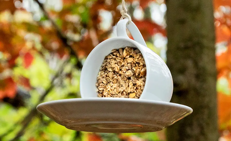 Tasse als Futterspender