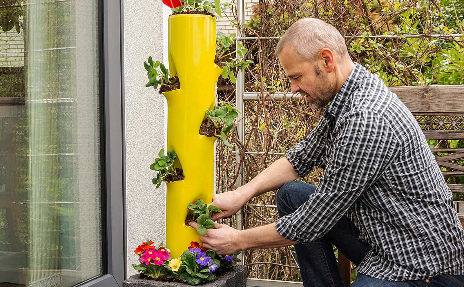 plastik zimmerpflanzen groß Große Yucca Palme kaufen – Green Me Up