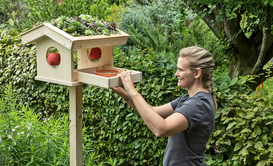 Begrüntes Vogelfütterhäuschen selber bauen