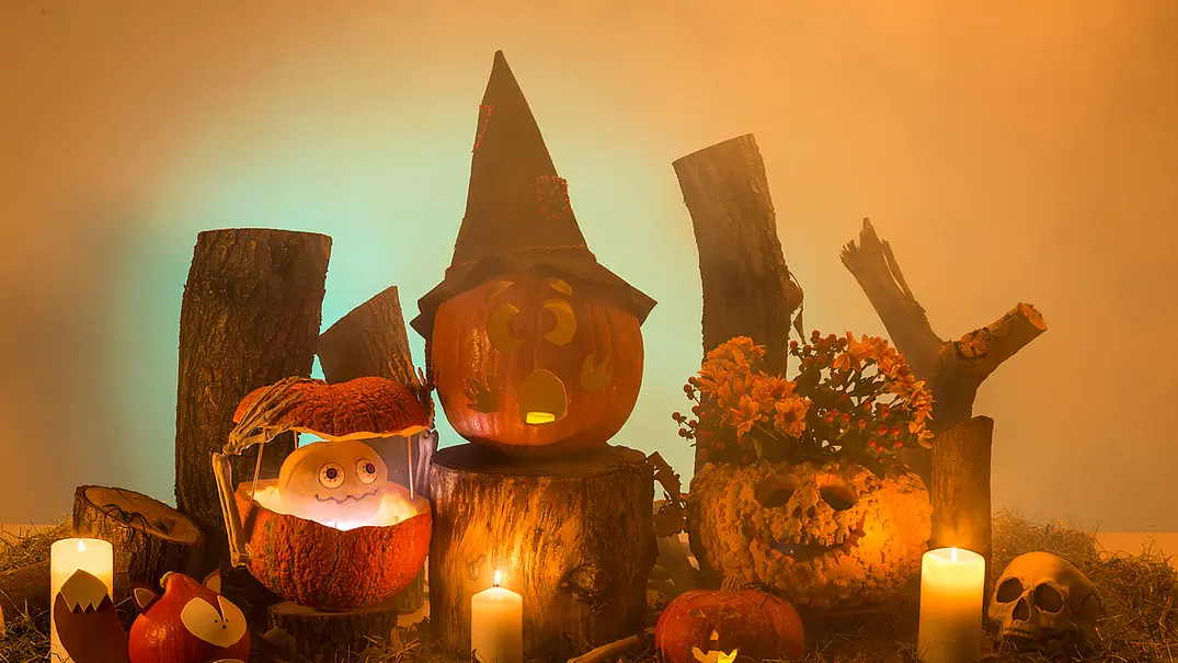Kürbisse für Halloween dekorieren - Foto: sidm / MMM Kürbisse für Halloween dekorieren - Foto: sidm / MMM