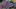 Video Platzhalter Video Platzhalter