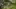 Video Platzhalter Video Platzhalter