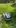Video Platzhalter Video Platzhalter