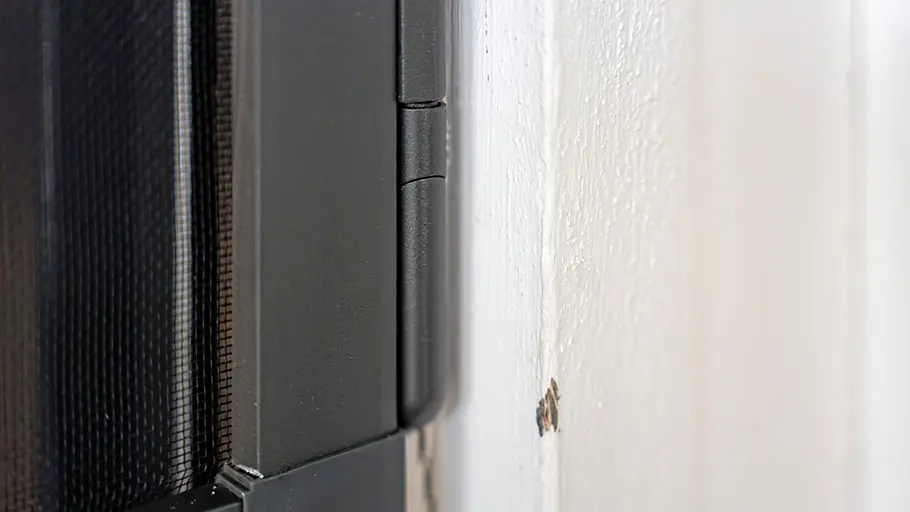 Das geschlossene Scharnier einer montierten Insektenschutztür ist bündig an einem weißen Türrahmen angebracht.