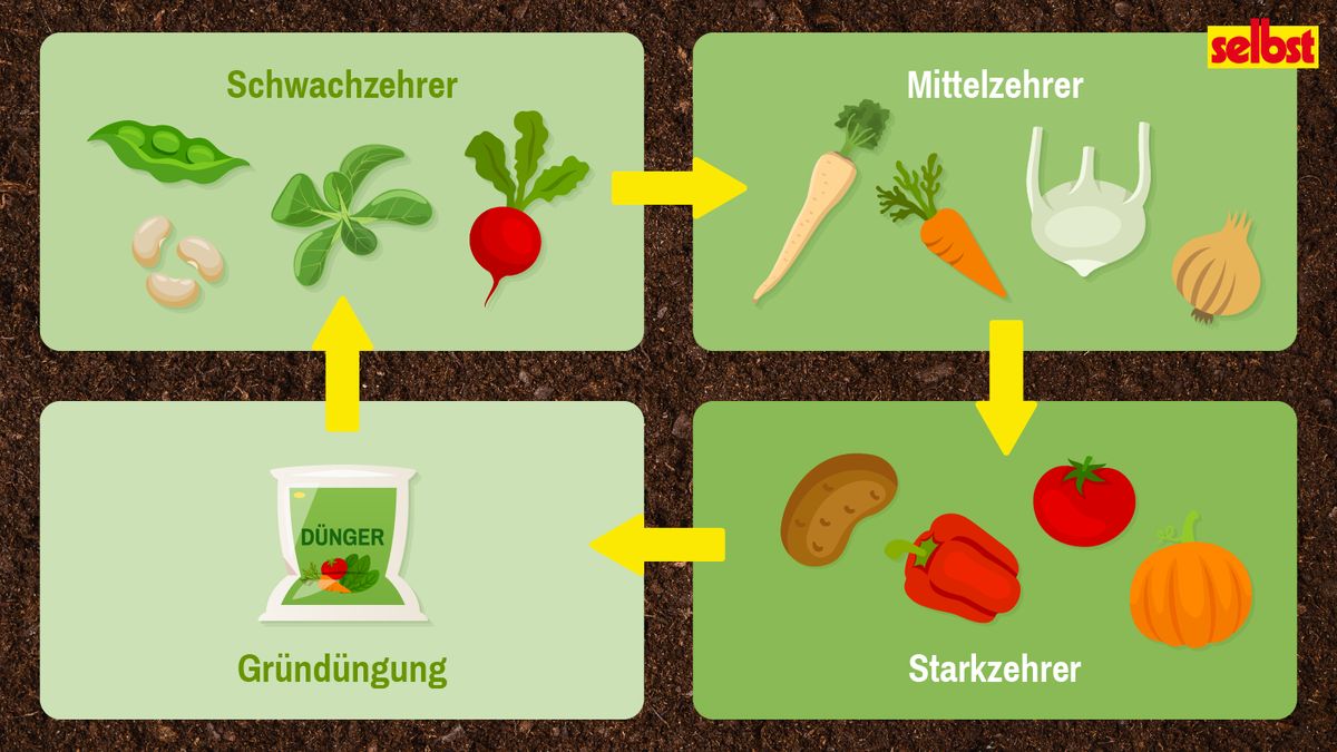 Vierfelderwirtschaft