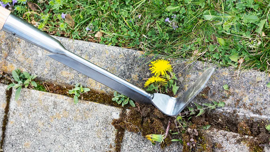 Unkrautstecher oder Fugenkratzer