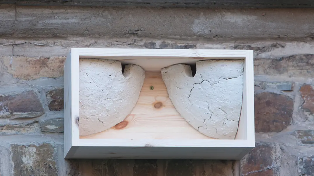 Nistkasten für Schwalben bauen - Foto: sidm / DW Nistkasten für Schwalben bauen - Foto: sidm / DW