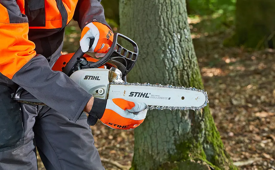 Vorbereitung zum Baum fällen