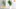 Video Platzhalter Video Platzhalter