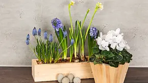 Blumentopf aus Holz - Foto: sidm / KEH Blumentopf aus Holz - Foto: sidm / KEH