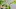 Video Platzhalter