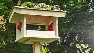 Begrüntes Vogelfütterhäuschen selber bauen - Foto: sidm / MMM