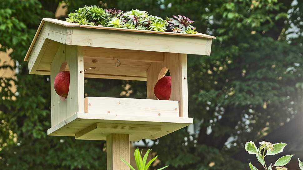 Begrünte Vogelfutterstelle - Foto: sidm / MMM