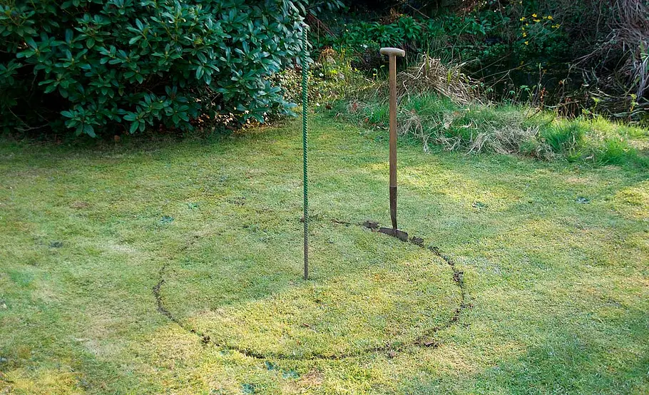 Obstbaum versetzen