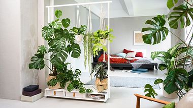 Pflanzen-Raumtrenner im Urban-Jungle-Stil bauen - Foto: Hersteller/Bosch