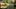 Video Platzhalter