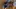 Video Platzhalter Video Platzhalter