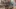 Video Platzhalter Video Platzhalter