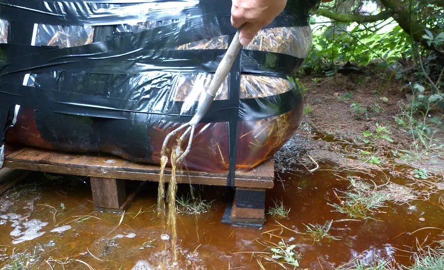 Pilzzucht im Strohbeet