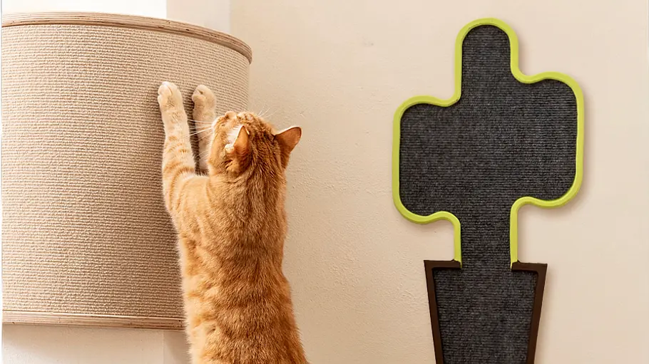 Kratz-Ecke Eine rot getigerte Katze kratzt stehend an einer mit Sisal bespannten runden Kratzecke neben einem an der Wand hängenden Kratzbrett.