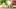 Video Platzhalter Video Platzhalter