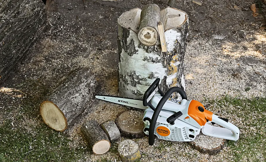 Kreative Gartendeko: Holztiere selber machen