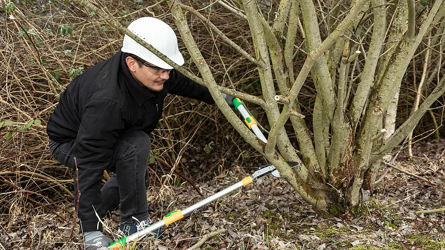 Astscheren-Test Frischholz Eine Person mit Schutzhelm schneidet im Unterholz mit einer Astschere dicke Äste an einem Strauch zurück.