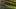 Video Platzhalter Video Platzhalter