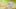 Video Platzhalter Video Platzhalter
