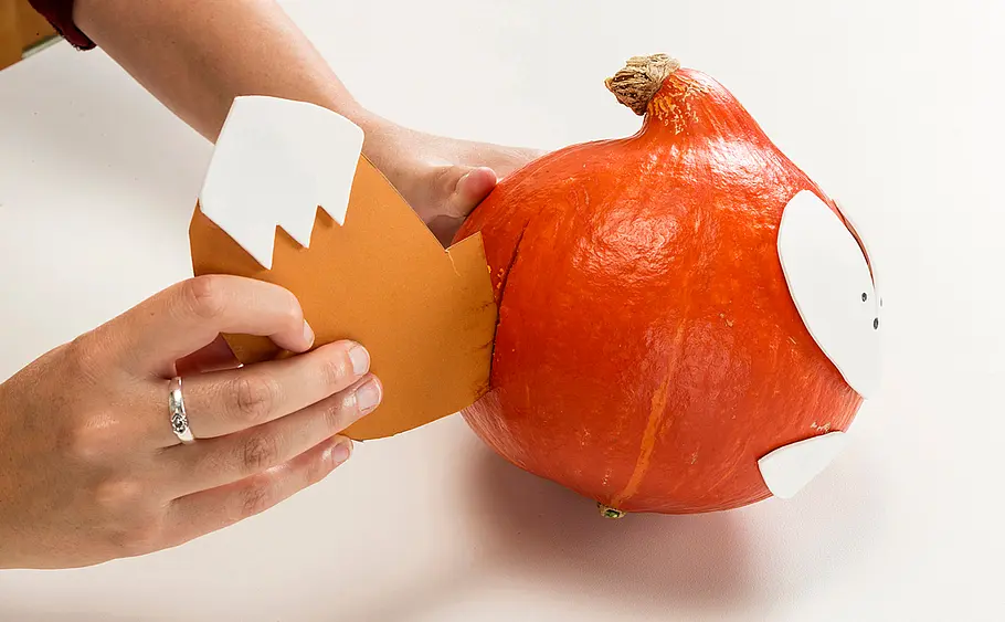 Kürbisse für Halloween dekorieren