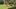 Video Platzhalter Video Platzhalter