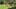 Video Platzhalter