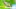 Video Platzhalter