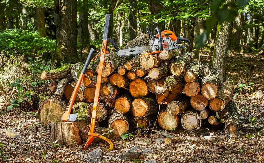 Vorbereitung zum Baum fällen