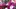 Video Platzhalter Video Platzhalter
